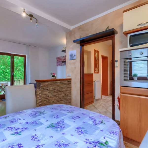 Kitchen, Apartman Amaii 2, Villa Amaii Brtonigla