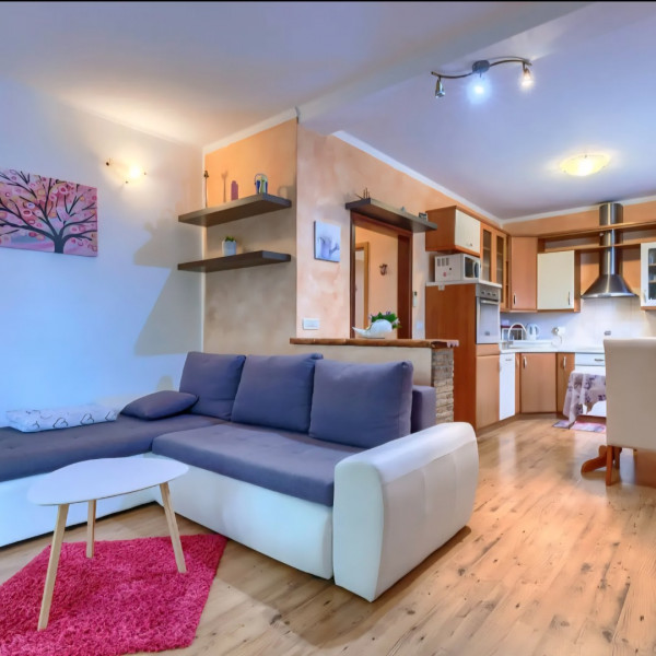 Living room, Apartman Amaii 2, Villa Amaii Brtonigla