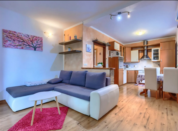 Apartment AMAII 2, Villa Amaii Brtonigla