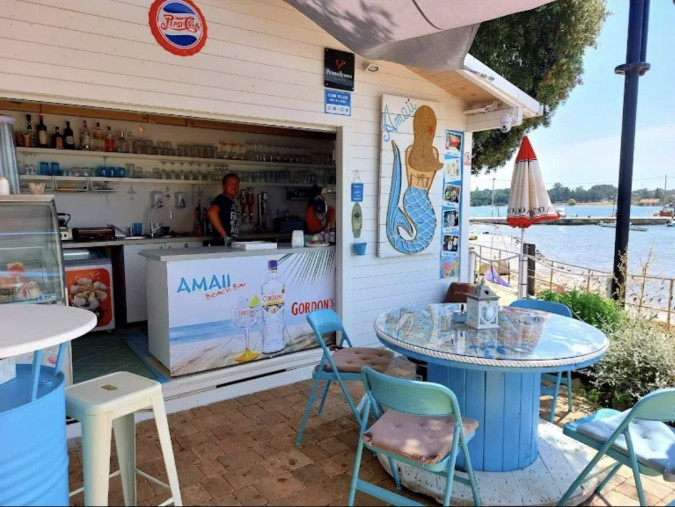 Villa Amaii Brtonigla